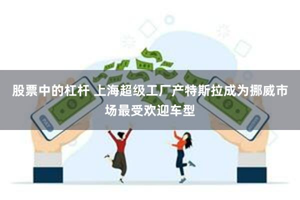 股票中的杠杆 上海超级工厂产特斯拉成为挪威市场最受欢迎车型