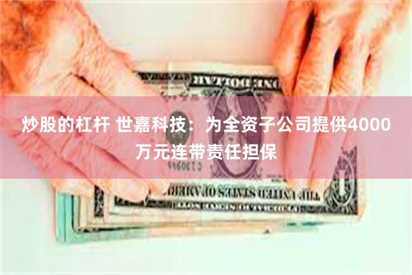 炒股的杠杆 世嘉科技：为全资子公司提供4000万元连带责任担保