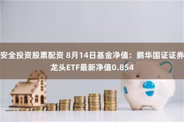 安全投资股票配资 8月14日基金净值：鹏华国证证券龙头ETF最新净值0.854