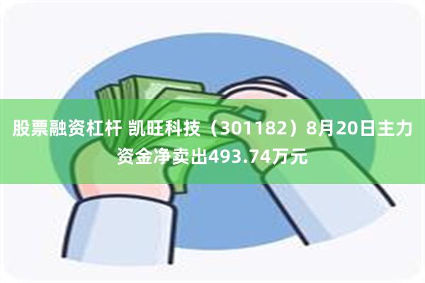 股票融资杠杆 凯旺科技（301182）8月20日主力资金净卖出493.74万元