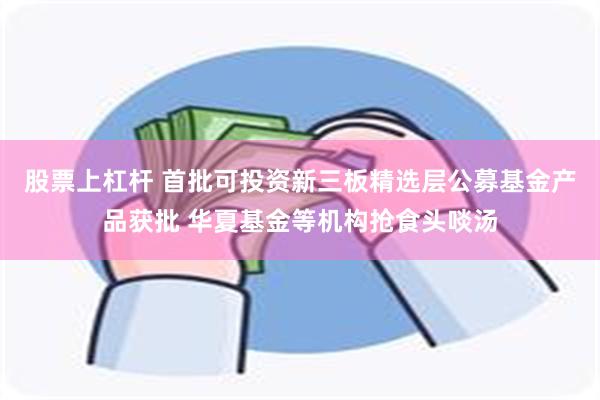 股票上杠杆 首批可投资新三板精选层公募基金产品获批 华夏基金等机构抢食头啖汤