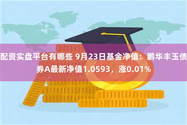 配资实盘平台有哪些 9月23日基金净值：鹏华丰玉债券A最新净值1.0593，涨0.01%