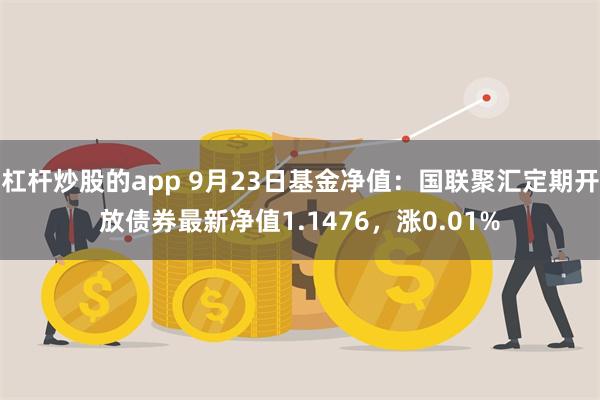 杠杆炒股的app 9月23日基金净值：国联聚汇定期开放债券最新净值1.1476，涨0.01%