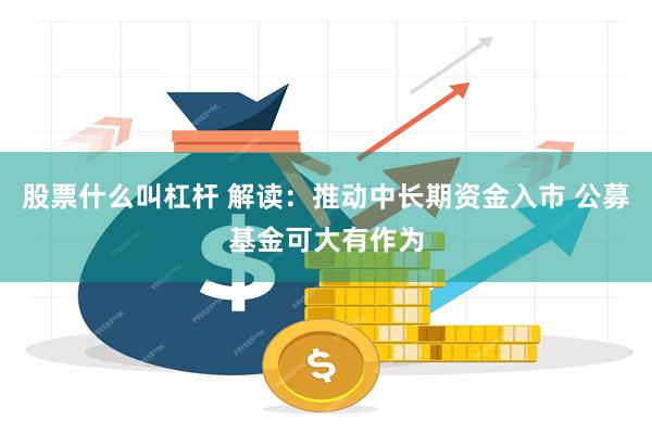 股票什么叫杠杆 解读：推动中长期资金入市 公募基金可大有作为