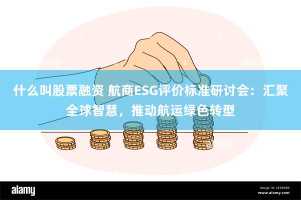 什么叫股票融资 航商ESG评价标准研讨会：汇聚全球智慧，推动航运绿色转型