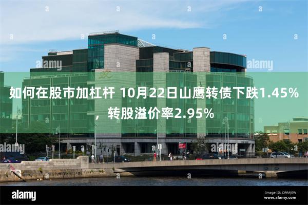 如何在股市加杠杆 10月22日山鹰转债下跌1.45%，转股溢价率2.95%