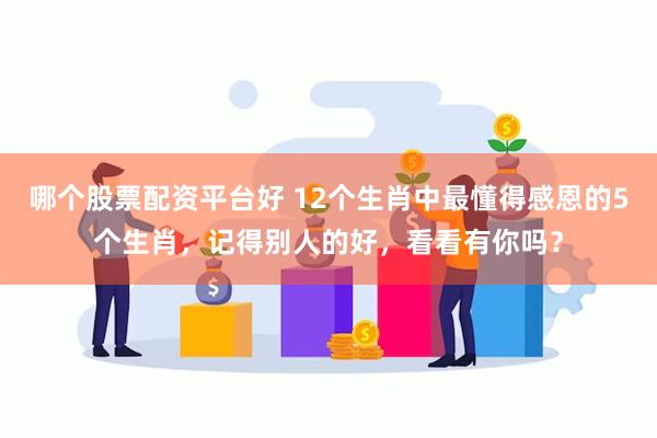 哪个股票配资平台好 12个生肖中最懂得感恩的5个生肖，记得别人的好，看看有你吗？