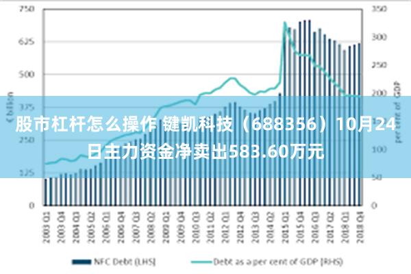 股市杠杆怎么操作 键凯科技（688356）10月24日主力资金净卖出583.60万元