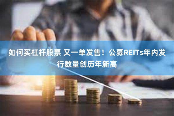 如何买杠杆股票 又一单发售！公募REITs年内发行数量创历年新高