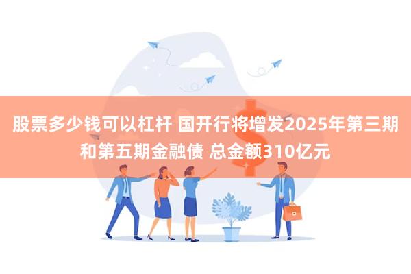 股票多少钱可以杠杆 国开行将增发2025年第三期和第五期金融债 总金额310亿元